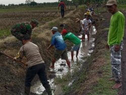 Minimalisir Terjadi Banjir Polisi di Lamongan Bersama Warga Bersihkan Saluran Irigasi,Lamongan – Jawa Timur