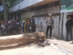 Tukang Becak Kritis, Usai Tertimpa Pohon Tumbang.