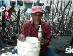 Dari Hidup Menjadi Pengamen Jalanan Hingga Hidup Sebatang Kara Di Hutan Mangrove Selama 40 Tahun