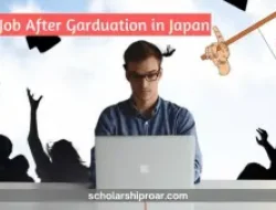 How To Find Bob in Japan After Graduation