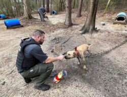 Georgia police rescue 17 pit bulls from dog fighting property kept in ‘heinous’ conditions – English SiapTV.com