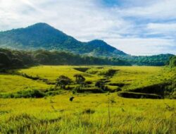 Savana Tegal Panjang, Pesona Padang Savana yang Memukau di Bandung