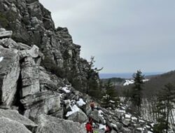 New York hiker found dead after 3-day search of nature preserve – English SiapTV.com