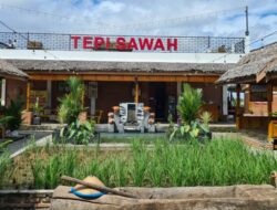 Tepi Sawah Sidrap, Pesona Resto Unik Bernuansa Alam Tempo Dulu