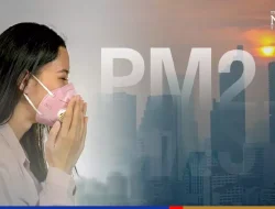 Bangkokians urged to mask up, avoid outdoor activity as PM2.5 levels rise – English SiapTV.com