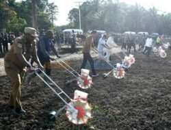 Presiden RI Joko widodo Awali Tanam Benih Jagung Keerom Provinsi Papua