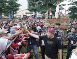 Pineaplle Festival, Upaya Bupati Kediri Optimalkan Potensi Nanas
