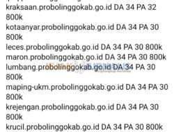 ADUH! BENARKAH ?!, AKSES DATA DIGITAL PEMERINTAH KABUPATEN PROBOLINGGO DIPERJUAL BELIKAN