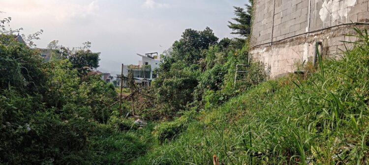 Img 20230620 145921
