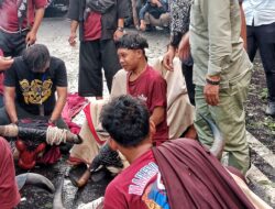 Bantengan Nuswantara Kota Batu Di Hadiri Komisi X DPR RI