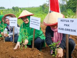 P2L Mendukung Program TMMD ke 119 di Desa Sembung Kabulaten Gersik.