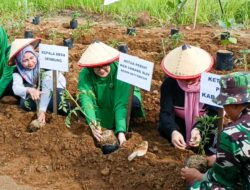 Giat P2L Mendukung Program TMMD ke 119 di Desa Sembung Kabulaten Gersik