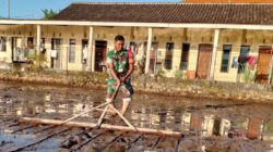 Babinsa Desa Petungsari Dampingi Petani Tanam Padi Inpari 32