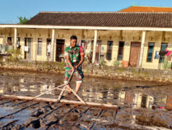 Babinsa Desa Petungsari Dampingi Petani Tanam Padi Inpari 32