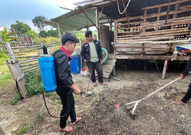 Mahasiswa UMM Bantu Peternak Desa Sumber Porong Olah Limbah Ternak