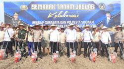 Imigrasi Surabaya dan Polresta Sidoarjo Kolaborasi Tanam Jagung