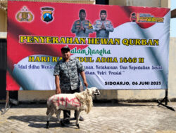 Aliansi Ojol Sidoarjo Terima Hewan Qurban dari Kapolresta Sidoarjo