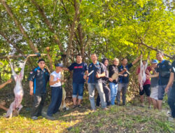 Solidaritas AWOS dan AOS Rayakan Idul Adha Bareng