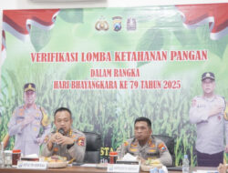 Mabes Polri Tinjau Lahan Jagung Dukung Asta Cita Prabowo