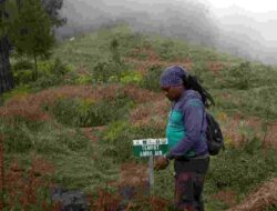 Jawab Keluhan Pendaki, Rambu-Rambu Penyelamat di Gunung Panderman Akhirnya Terpasang