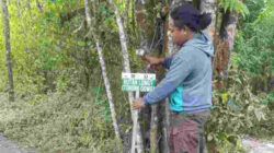 Img 20251004 205505