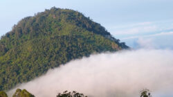 Mitos siluman babi menjadi kisah hidup di masyarakat Gunung Buthak. Pesan kearifan lokal dalam menjaga harmoni dengan alam.