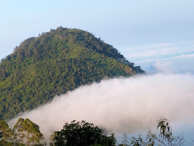 Mitos siluman babi menjadi kisah hidup di masyarakat Gunung Buthak. Pesan kearifan lokal dalam menjaga harmoni dengan alam.