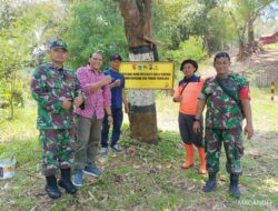 Langkah Apa yang Diambil Koramil Antisipasi Longsor dan Pohon Tumbang di Kasembon?