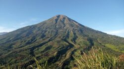 Pesona Gunung Sindoro