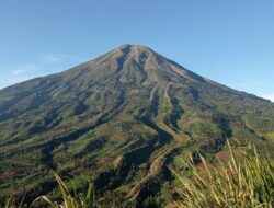 Dari Buku Manual ke Aplikasi Digital: Kisah Sukses Basecamp Sigedang Memodernisasi Layanan Pendakian Sindoro