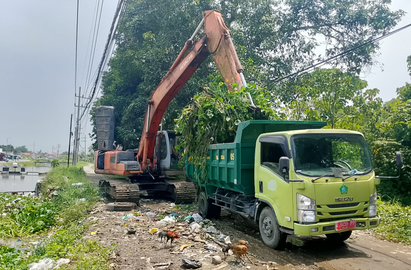 PU BMSDA dan DLHK kerahkan sejumlah alat berat untuk percepatan normalisasi sungai di berbagai wilayah Kabupaten Sidoarjo.